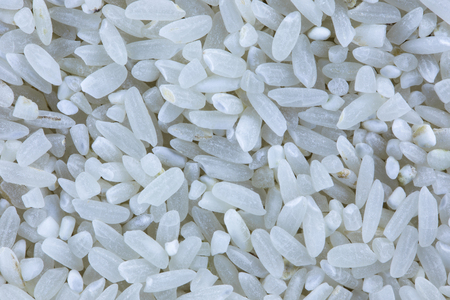 The rice seeds. The macro shot is made by means of stacking technologyの写真素材