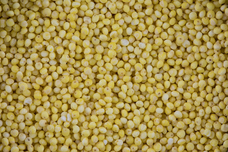 The millet seeds` texture or background. The macro shot is made by means of stacking technologyの写真素材