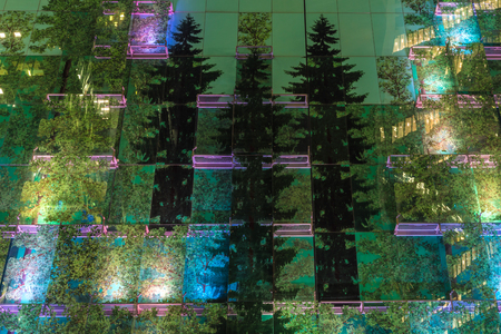Moscow / Russia - September 19 2018 The live glass wall of pines and furs in the Moscow center offive center in the evening or nightの写真素材