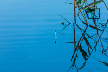 Tall fishing vivid or colorful float with bug or beetle and cane or reed on the blue water surface...