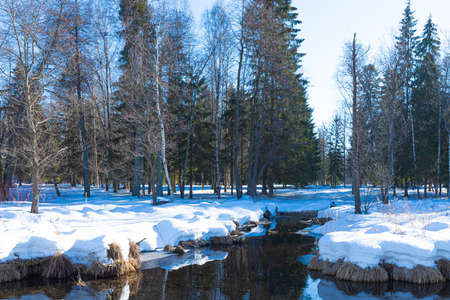 Beautiful bright and vivid landscape of winter or spring landscape of forest or parc with ice and snow in sunny weatherの写真素材