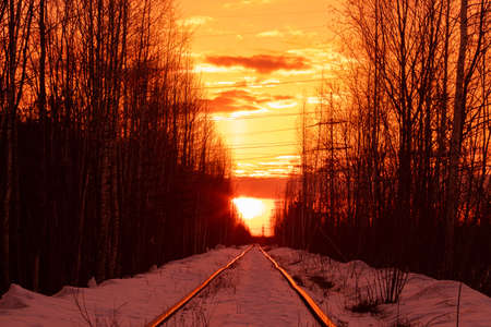 Beautiful vivid colorful and bright winter landscape of old neglected railway among forest trees with yellow and orange sunset or sunrise skyの写真素材