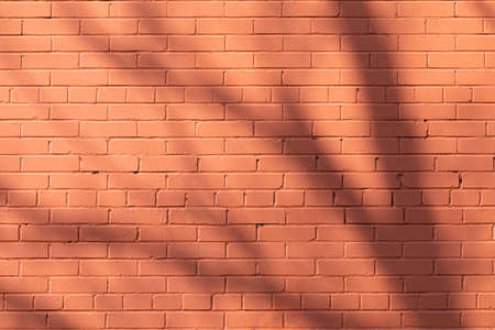 Bright, vivid and colorful background, backdrop or texture of brown brick wall with shadow of tree...