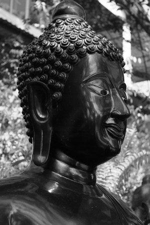 Buddha statueの写真素材