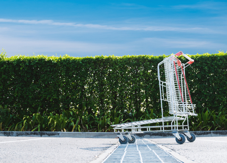 Shopping cart parked near green natural wallの写真素材