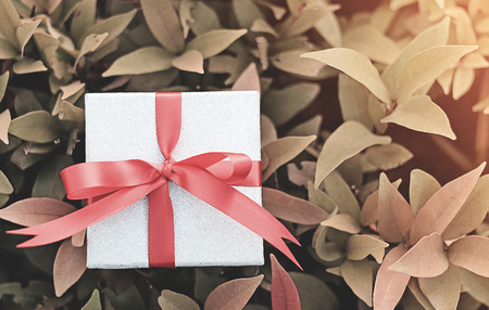 Silver gift boxes tied with red ribbons placed on shrubs orange. Meaningful gifts on special occasions or for a loved one priority.の写真素材