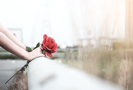 The girl sitting holding a red rose in her hand, waiting for someone to come looking for her.の写真素材