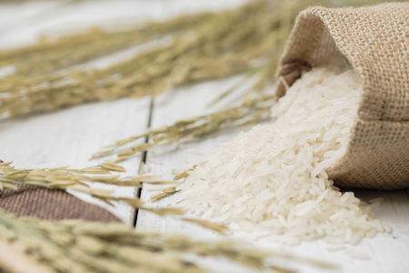 Rice and poured from sack  with yellow rice plant on wooden background.の写真素材
