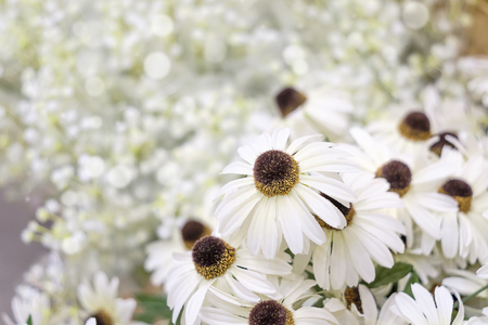 White flower in vase on little flower backgroundの写真素材