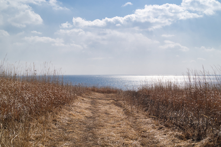 A rural scene road to the sea through a field of dry grass symbolizes the path from winter sleep and cold to spring heat or from drought to the saving water of the oceanの写真素材