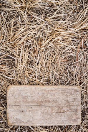 Wooden plaque on the background of a dry autumn grassの写真素材