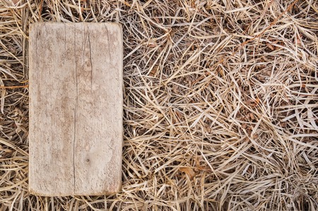 Wooden plaque on the background of a dry autumn grassの写真素材