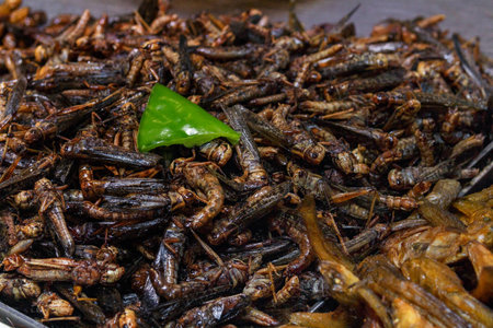 Fried insects in the tray on the counter of the Chinese market. Exotic foodの写真素材
