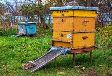 Hives in the apiary. Completion of the summer season of honey collection and autumn preparation for...