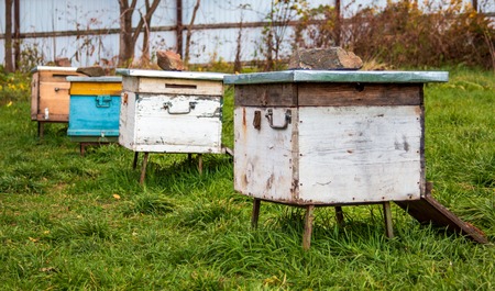 Hives in the apiary. Completion of the summer season of honey collection and autumn preparation for hibernation of insects.の写真素材
