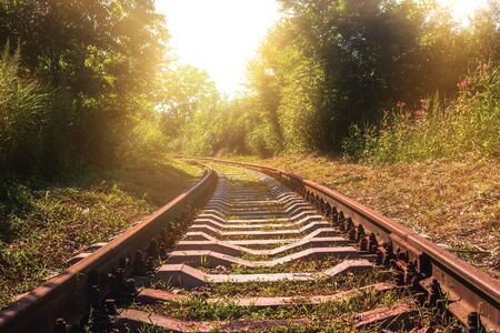 Old abandoned railway with rusty rails in the summer during evening sunsetの写真素材