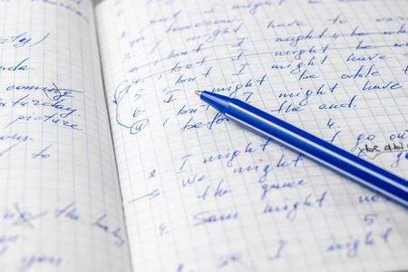 Sheets of school student notebook scribbled with a blue ballpoint pen