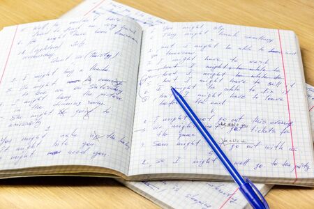 Sheets of school student notebook scribbled with a blue ballpoint pen