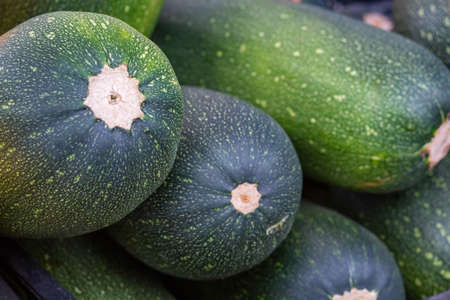 Solid background of fresh ripe and natural zucchiniの写真素材