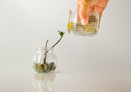 Conceptual financial assistance of  economic stimulus by government during crisis or Covid-19. Coins in  mini lass jar with half-dead plant.  Hand pouring coins from another jar. Focus on jar on tableの写真素材