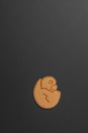 Dog biscuit on black background to connote a concept of feeding animals