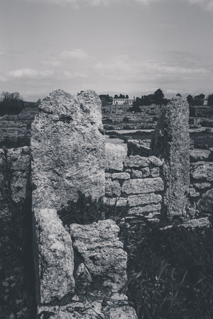 Archaeological remains of Paestum Salerno Italy to understand a concept of culture and tourismの写真素材