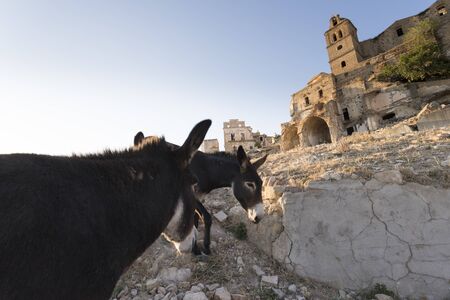 Craco, abandoned ghost town in Italyの写真素材