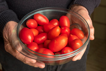 Hands holding a quality fresh cherry tomatoesの写真素材