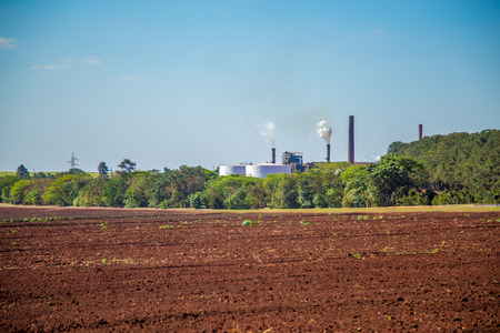 sugar cane industryの写真素材