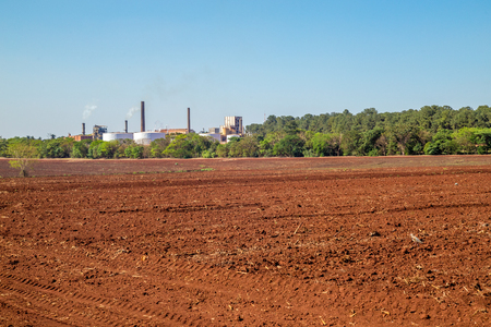 sugar cane industryの写真素材