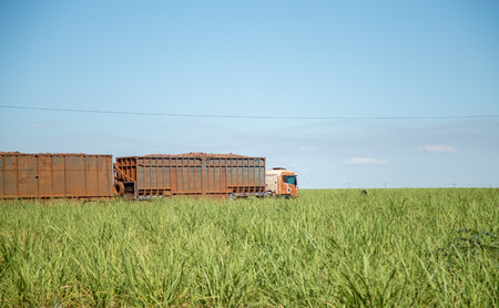 sugar cane transporterの写真素材