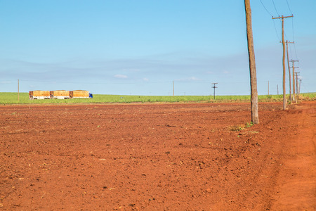 sugar cane transporterの写真素材