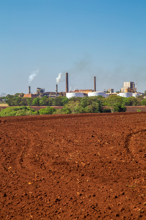 sugar cane industryの写真素材
