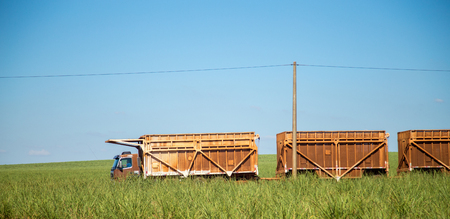 sugar cane transporterの写真素材