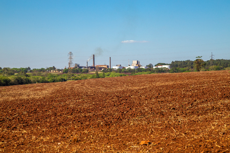 sugar cane industryの写真素材