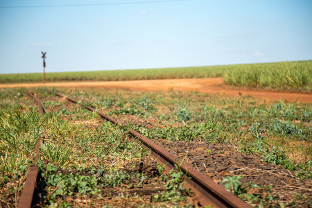 train lineの写真素材