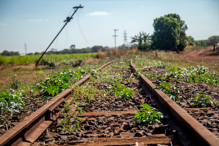 train lineの写真素材