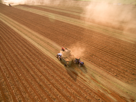 Peanut tractorの写真素材