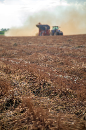 Peanut tractorの写真素材