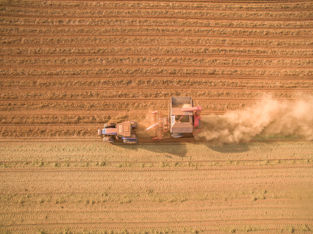 Peanut tractor