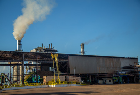 factory sugar cane
