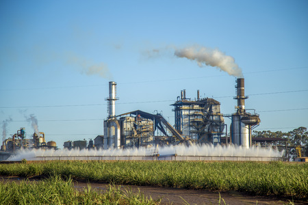sugar cane industryの写真素材