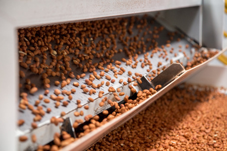 peanut process industry brazilの写真素材