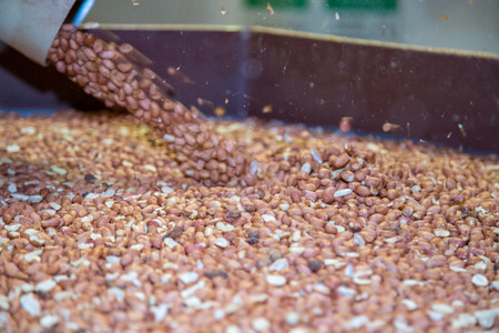 peanut process industry brazilの写真素材