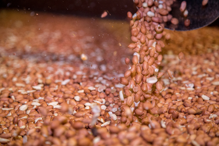 peanut process industry brazilの写真素材