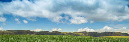 soybean plantation road montain brazil