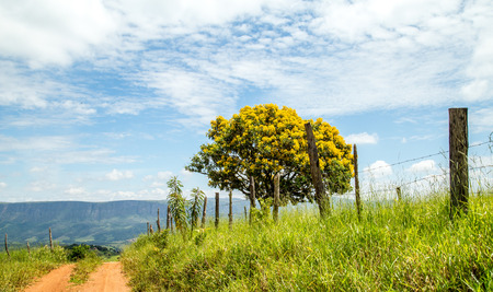 National park brazil serra da canastraの写真素材