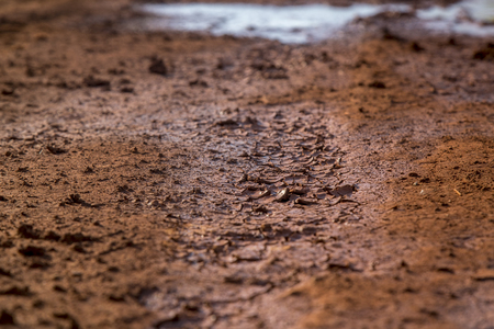 Dry landの写真素材