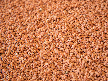 detail potassium fertilizer grain with selective focusの写真素材
