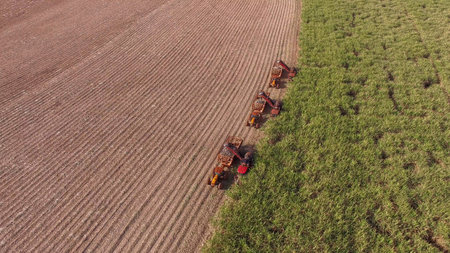 Sugar cane hasvest plantation aerialの写真素材